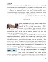 Suomijos faktai 17 puslapis