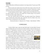 Suomijos faktai 19 puslapis