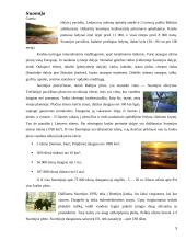 Suomijos faktai 9 puslapis