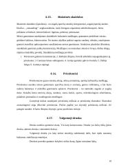 Šaltai rūkytų mėsos gaminių gamyba 11 puslapis