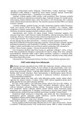 Šaltasis karas pasaulyje 11 puslapis