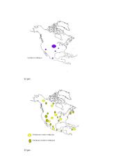 Šiaurės Amerikos fauna, flora, bioištekliai 16 puslapis