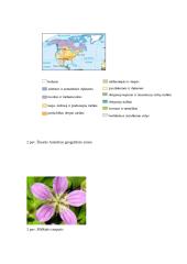 Šiaurės Amerikos fauna, flora, bioištekliai 4 puslapis