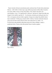 Šiaurės Amerikos fauna, flora, bioištekliai 8 puslapis