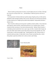 Šiaurės Amerikos fauna, flora, bioištekliai 9 puslapis