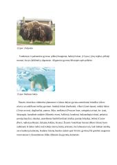Šiaurės Amerikos fauna, flora, bioištekliai 10 puslapis
