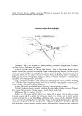 Širvintų miestas 3 puslapis
