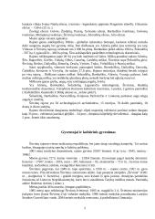 Širvintų miestas 4 puslapis