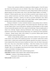 Švento Petro misijinės veiklos vaidmuo žmogaus gyvenime 3 puslapis