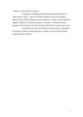 Švietimo epocha ir jos ištakos Europoje 7 puslapis