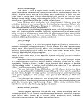 Tadž Mahalas 3 puslapis