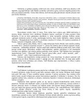 Tadž Mahalas 4 puslapis