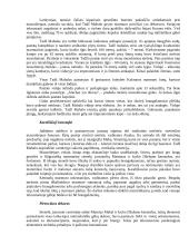 Tadž Mahalas 5 puslapis