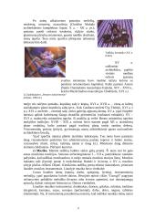 Tadžikai ir Tadžikistanas 17 puslapis