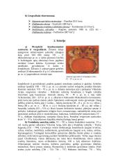 Tadžikai ir Tadžikistanas 7 puslapis