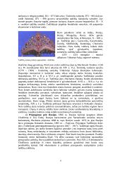 Tadžikai ir Tadžikistanas 8 puslapis