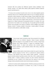 Išradimų ir technikos istorija 3 puslapis