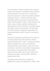 Trakų Vokės parkas 11 puslapis