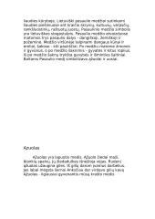 Trakų Vokės parkas 3 puslapis