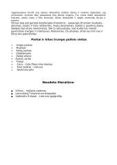 Svarbiausios Vilniaus miesto istorijos datos 9 puslapis