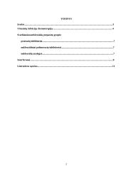 Virusinių ligų gydymo būdai 2 puslapis