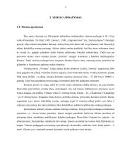 Įmonės analizė: vertimai UAB "Vertima" 2 puslapis
