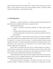 Įmonės analizė: vertimai UAB "Vertima" 11 puslapis