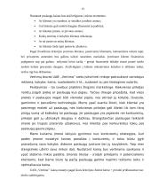Įmonės analizė: vertimai UAB "Vertima" 13 puslapis