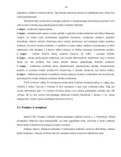 Įmonės analizė: vertimai UAB "Vertima" 20 puslapis
