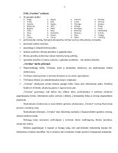 Įmonės analizė: vertimai UAB "Vertima" 5 puslapis