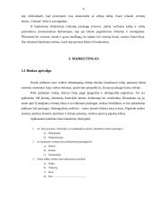 Įmonės analizė: vertimai UAB "Vertima" 6 puslapis