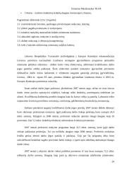 Lietuvos darbo rinka ir ją įtakojantys veiksniai 18 puslapis