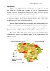 Lietuvos darbo rinka ir ją įtakojantys veiksniai 3 puslapis