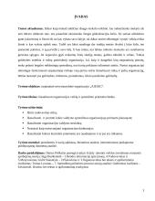 Sprendimų priėmimas nevyriausybinėje organizacijoje "AIESEC" 3 puslapis