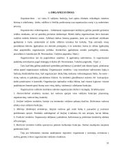 Sprendimų priėmimas nevyriausybinėje organizacijoje "AIESEC" 10 puslapis