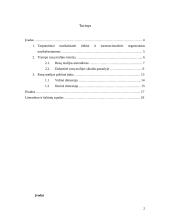 Tarptautiniai nusikalstami tinklai: rusų mafijos politinė įtaka 2 puslapis