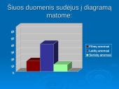 Televizijos reklamos analizė 17 puslapis