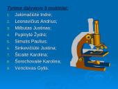 Televizijos reklamos analizė 3 puslapis