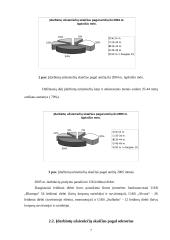 Užsienio šalių piliečių įsidarbinimas Lietuvoje 6 puslapis