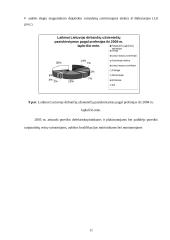 Užsienio šalių piliečių įsidarbinimas Lietuvoje 10 puslapis