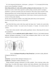 Darbo laiko organizavimo pagrindai 2 puslapis