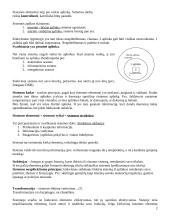 Ekonominės sistemos analizė 2 puslapis