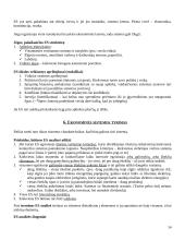 Ekonominės sistemos analizė 14 puslapis