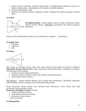 Ekonominės sistemos analizė 15 puslapis