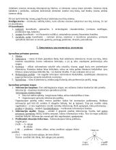 Ekonominės sistemos analizė 16 puslapis