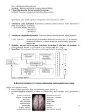 Ekonominės sistemos analizė 17 puslapis