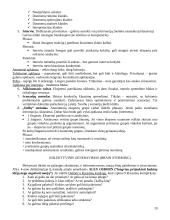 Ekonominės sistemos analizė 19 puslapis