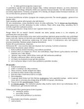 Ekonominės sistemos analizė 20 puslapis