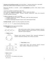 Ekonominės sistemos analizė 5 puslapis