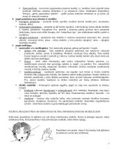 Ekonominės sistemos analizė 7 puslapis